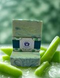 Jabón Aloe Vera( Aloe Vera Soap)